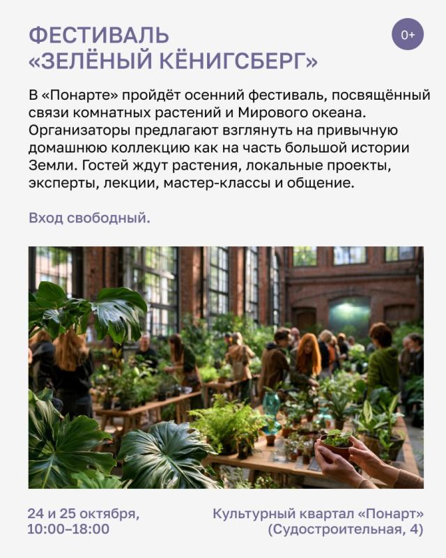 Полакомиться ряпушкой, поговорить с психологом и обменяться ненужными вещами Полакомиться ряпушкой, поговорить с психологом и обменяться ненужными вещами