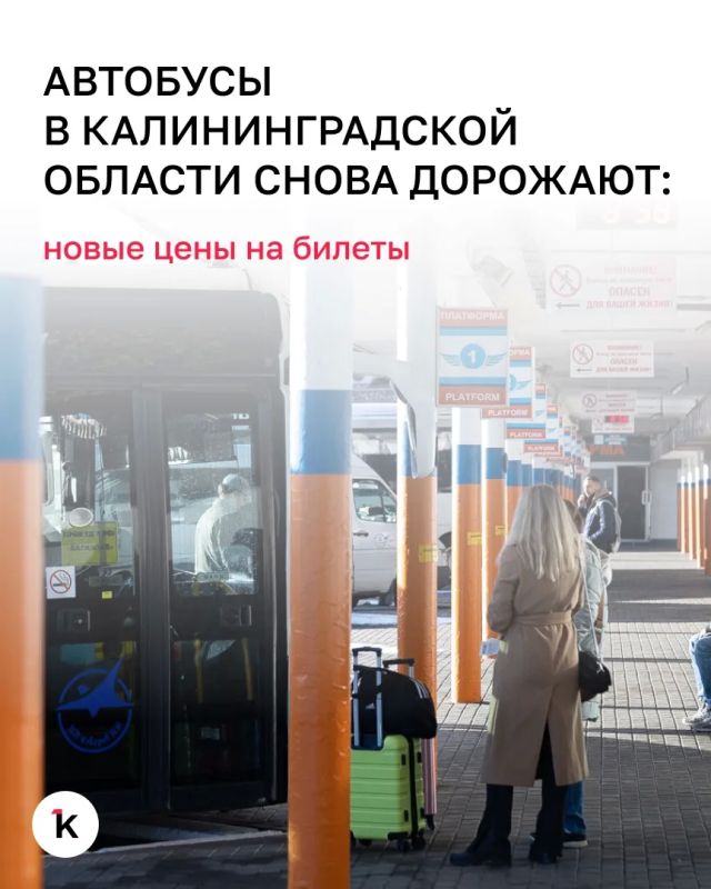 Междугородние автобусы в Калининградской области подорожают: новые тарифы вводят с 23 октября