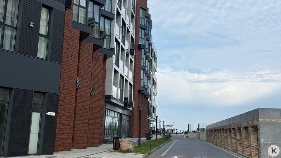 Калининградский орнитолог прокомментировал гибель птиц, массово врезающихся в окна дома №87 на Гагарина