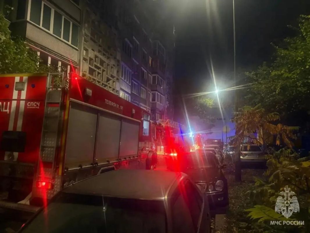 В Калининграде погибла вместе с животными владелица десятков кошек В Калининграде погибла вместе с животными владелица десятков кошек