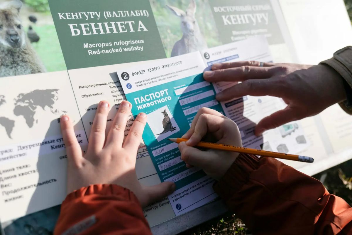 Ещё не были на «Островах»? Самое время! Ещё не были на «Островах»? Самое время!