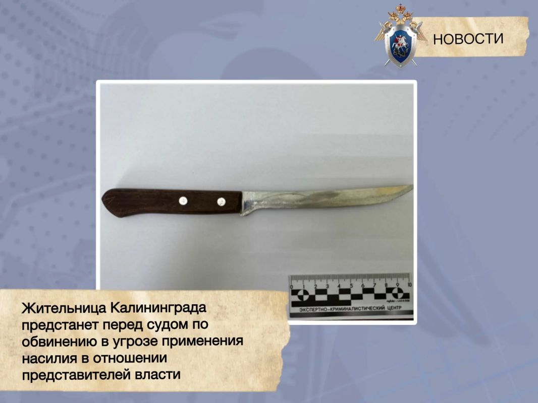 Жительница Калининграда предстанет перед судом по обвинению в угрозе применения насилия в отношении представителей власти