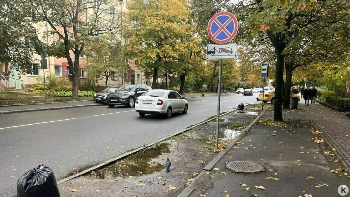 Власти Калининграда решили убирать парковки вдоль дорог, чтобы расширить тротуары и сделать велодорожки