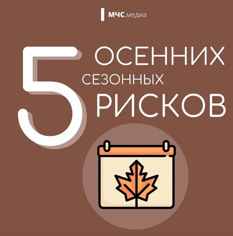 Ловушки сезона. Осенний сезон готовит нам немало сюрпризов, на которые стоит обратить внимание