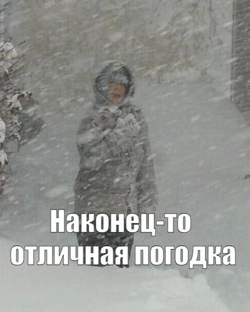 В начале ноября в Калининградскую область может прийти первое предзимье с мокрым снегом