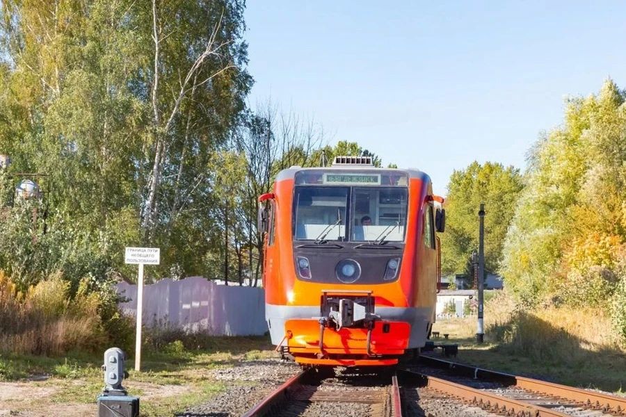 Расписание пригородных поездов меняют в связи с миграцией диких животных