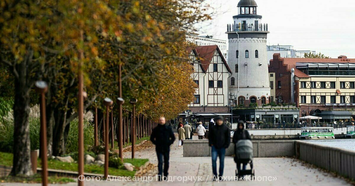 Только солнце и порывы южного ветра: какой будет погода в Калининграде и области 28 октября
