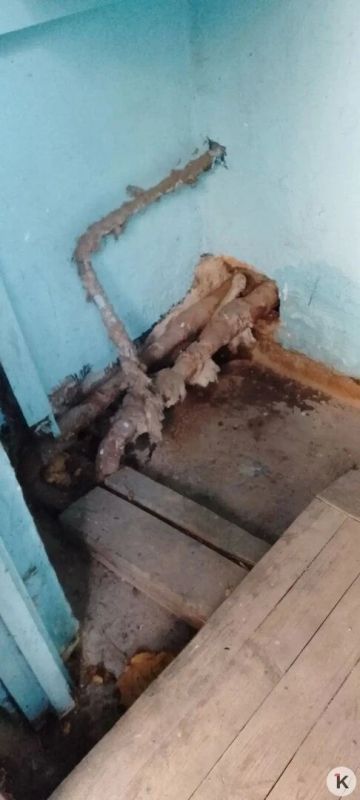 Жители дома на Красной боятся капремонта, который должен спасти их от постоянных потопов Жители дома на Красной боятся капремонта, который должен спасти их от постоянных потопов