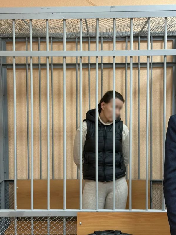 Калининградке, которая обиделась на оскорбления и пырнула мужчину шампуром, вынесли приговор