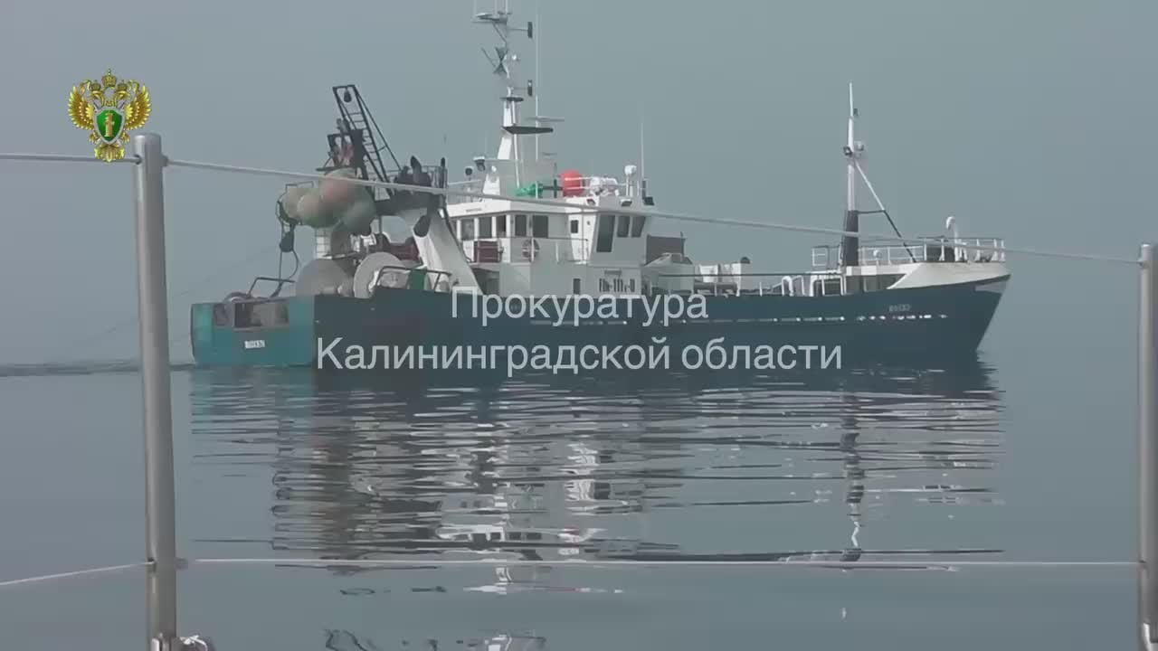 Прокуратура Калининградской области провела проверку исполнения законодательства о рыболовстве и охране водных биоресурсов