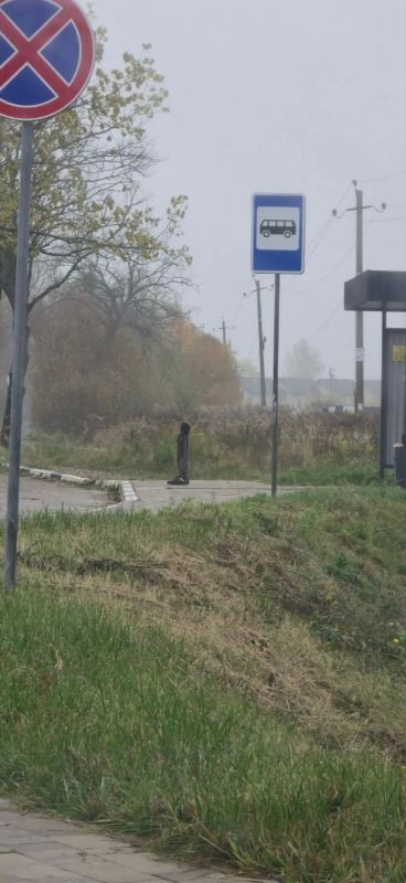 В Калининградской области на остановке заметили «человека-невидимку» В Калининградской области на остановке заметили «человека-невидимку»