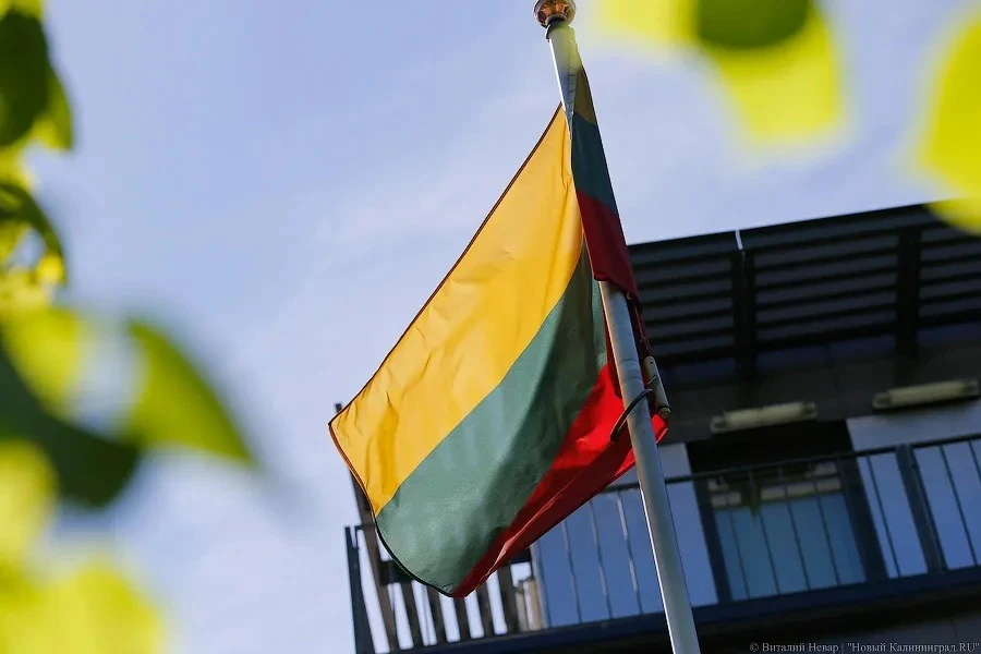 Армия Литвы рассматривает закупку американской ИИ-системы Palantir
