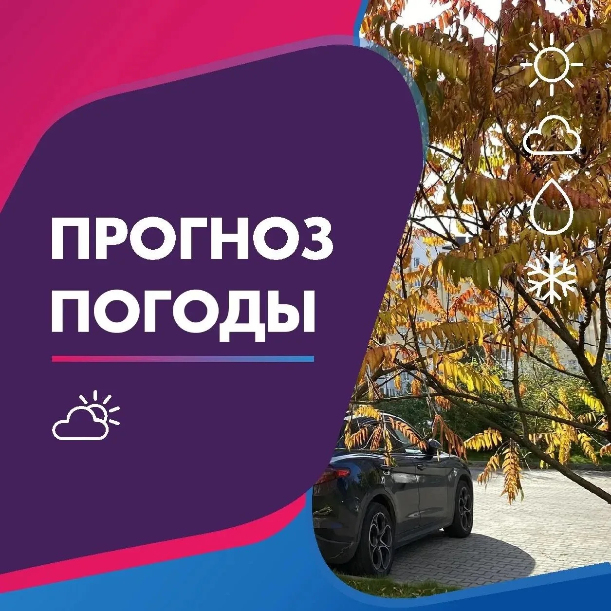 ПОГОДА 30 ОКТЯБРЯ В КАЛИНИНГРАДСКОЙ ОБЛАСТИ
