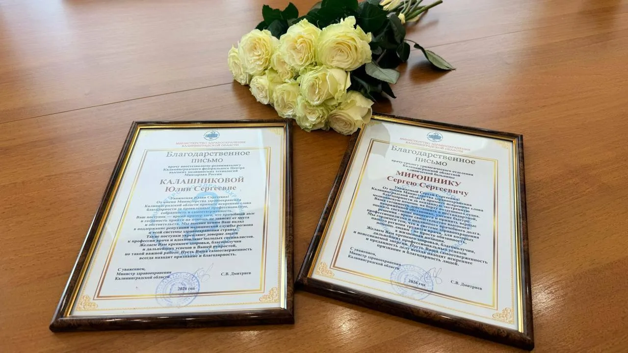 Врачам, помогшим пассажирке рейса Москва — Калининград, вручили благодарственные письма