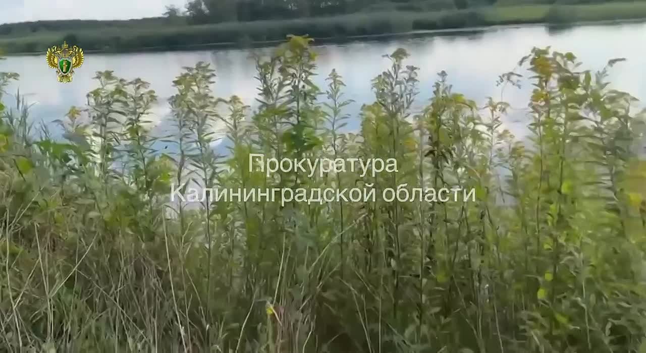 Природоохранной прокуратурой продолжается работа по возвращению в государственную собственность земельных участков в границах береговой полосы