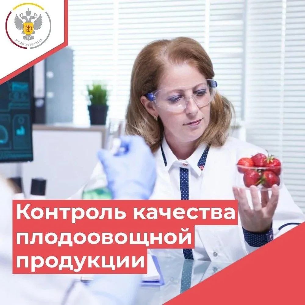Итоги надзора за качеством и безопасностью плодоовощной продукции за 9 месяцев 2026 года