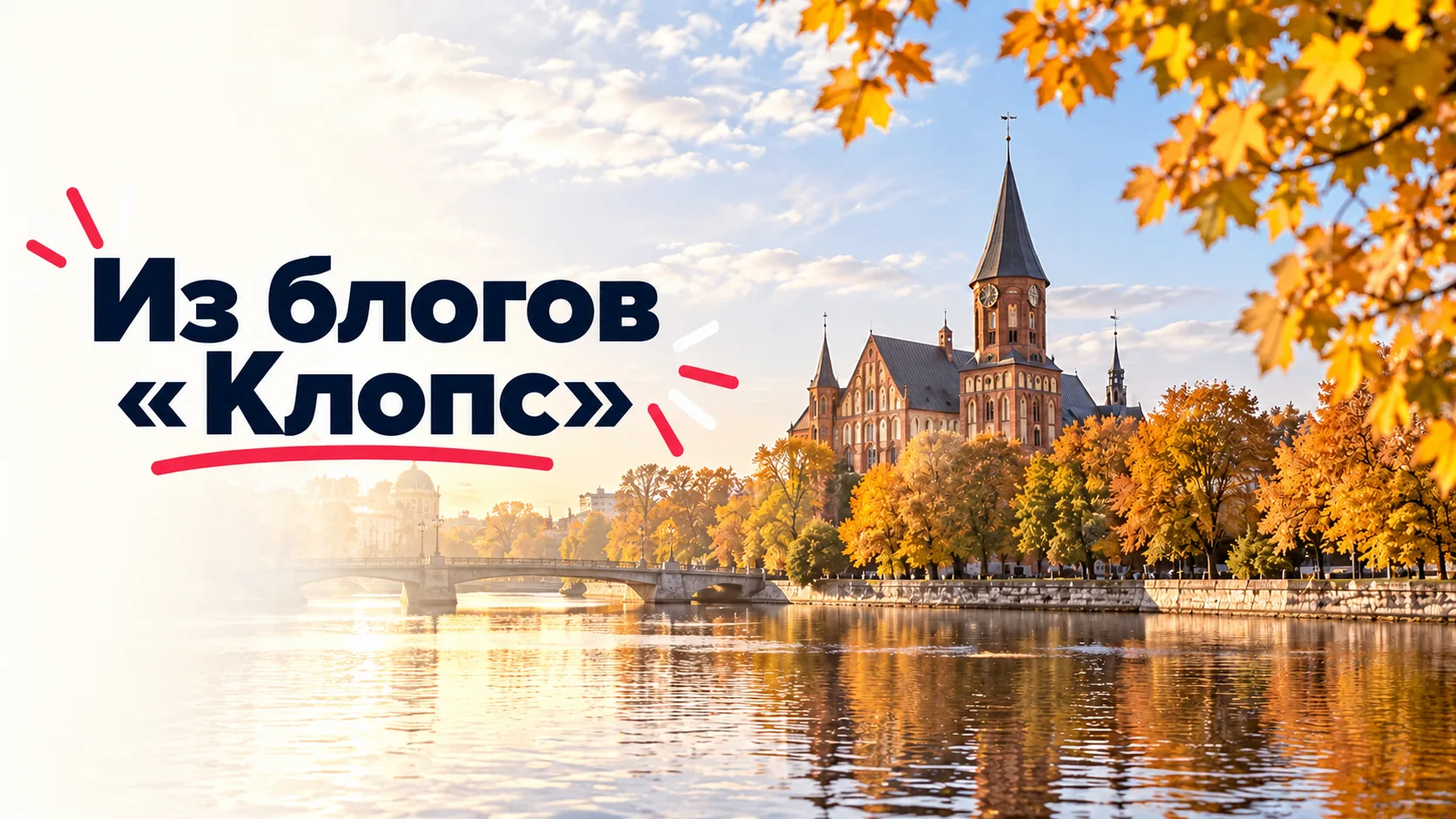 В блогах «Клопс» снова полно историй, мимо которых сложно пройти!