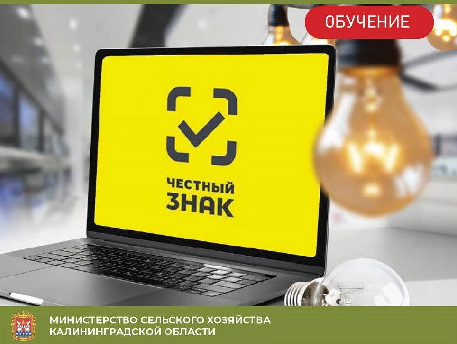 Производителям пищевой продукции предлагают стать участниками бесплатных вебинаров по маркировке